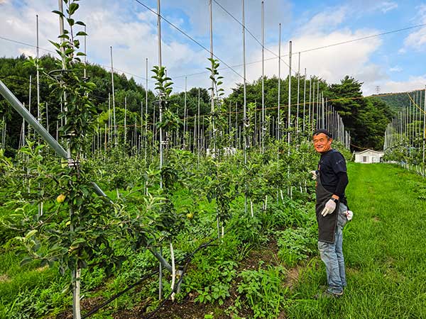 용구니 아지트 대미를 장식한 사과농장. 작년 첫 수확의 기쁨을 맛 본 정 대표는 "올해부터 사과꽃 향기를 제대로 느껴보고 싶다"고 했다. 농사는 결코 쉽지 않다고 했다.