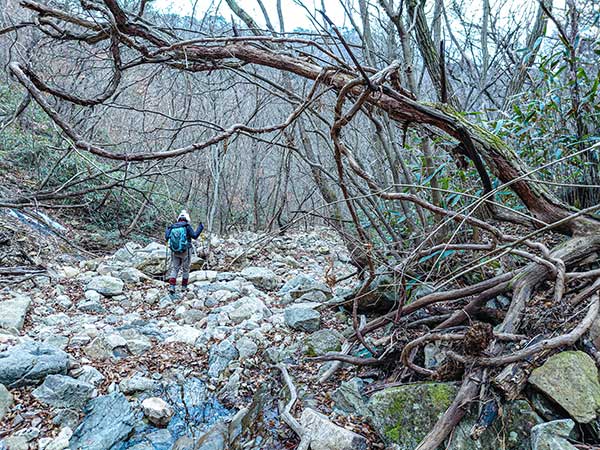 절골은 깊은 계곡이기에 일몰 시간을 염두에 둬야 한다.