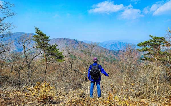 세상 소식이 산을 넘지 못한 땅 [지도 위를 걷다 봉화 각화산]