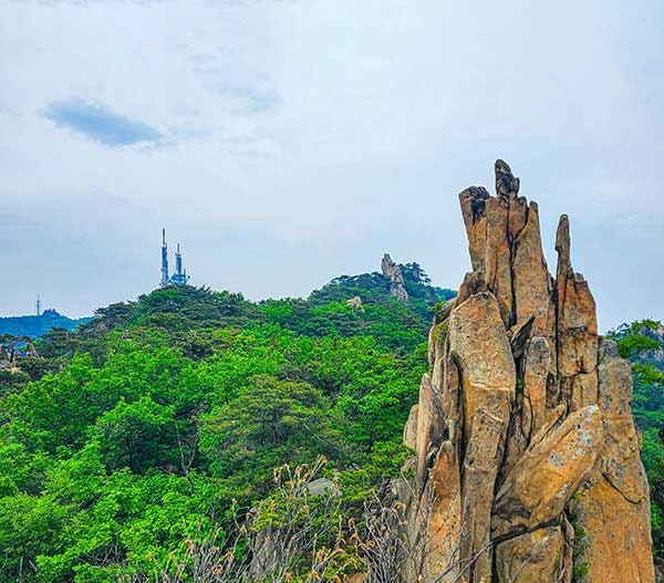 240년 전, 채제공도 관악산 기운을 받았다 [山文기행]