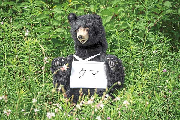 일본에서 곰이 자주 출몰함에 따라 위기 대응 상황 훈련을 위해 곰 인형일 세워 놓았다. 사진 유이치 야마자키.