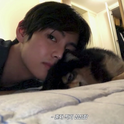BTS V