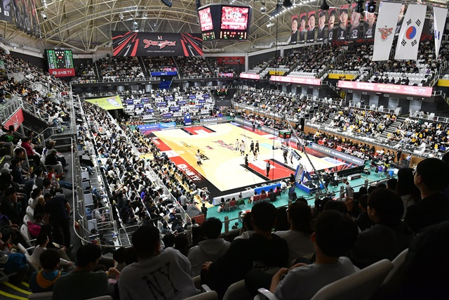 <b>프로농구 관중</b> 62만명 눈앞→전년 대비 24% 증가... 입장수익도 37% 늘었다