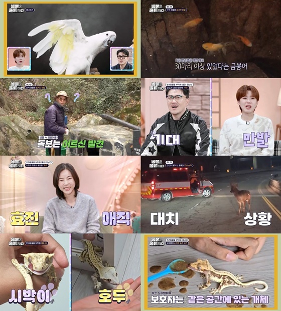 장도연 