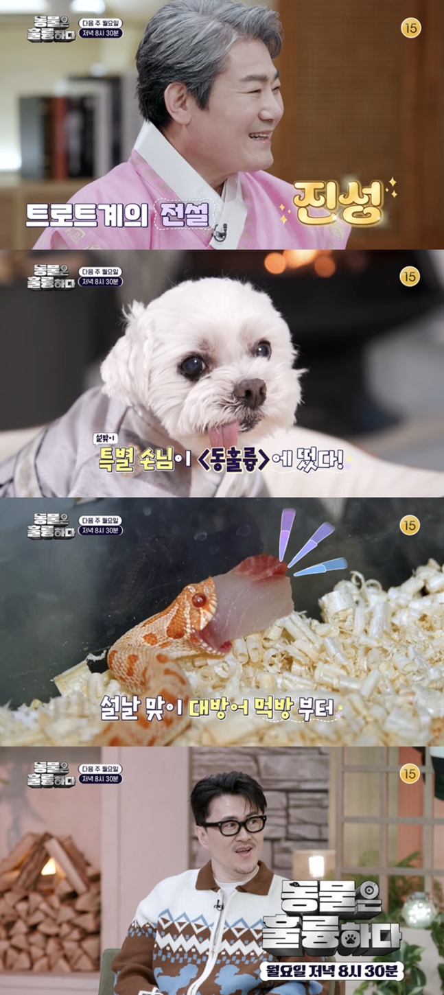 '동물은 훌륭하다' 진성, 15년 반려견 '보리'에 설날 음식 4종 '지극정성'