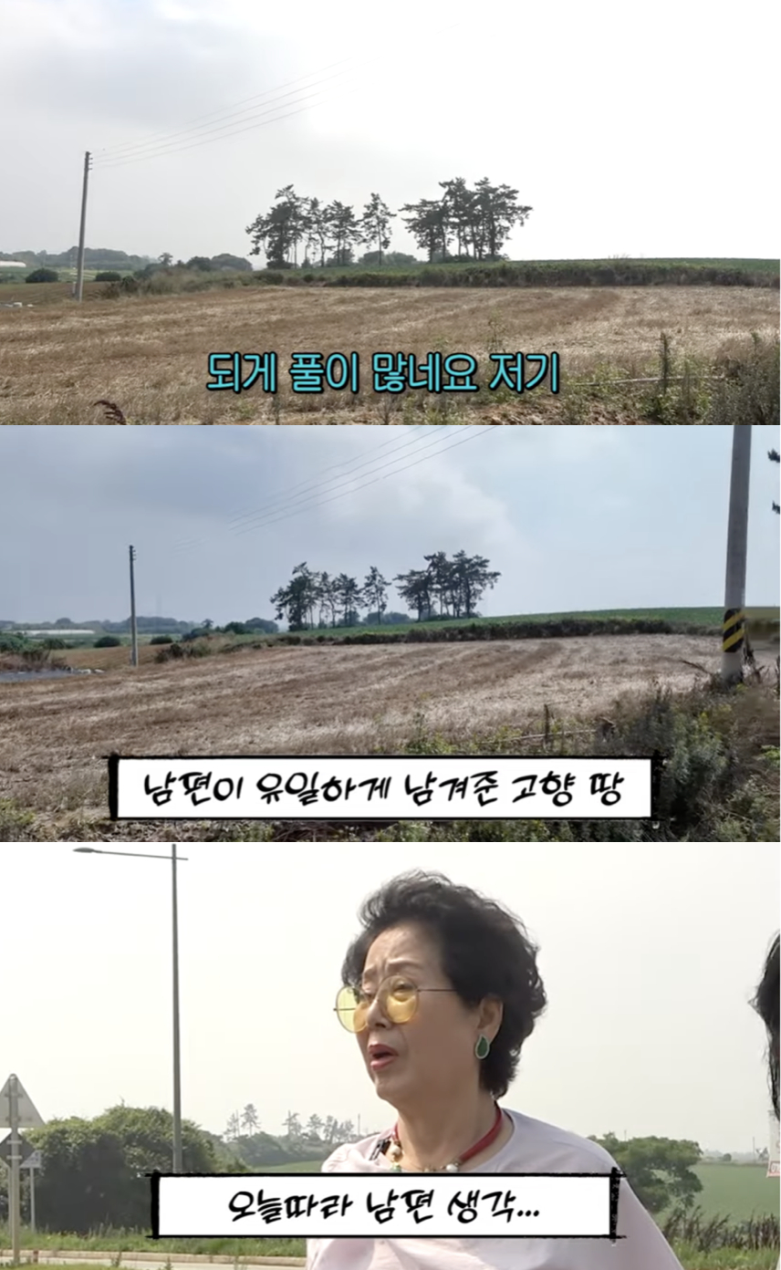 <b>선우용여</b> "토지세도 다 냈다"..남편이 <b>유산</b>으로 남긴 <b>900평 땅</b> 공개