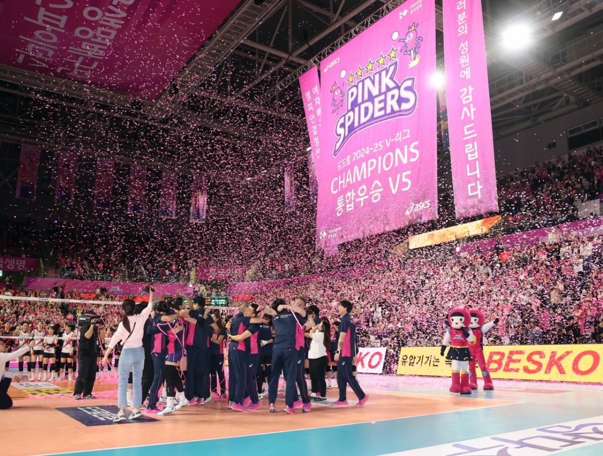 '<b>김연경</b>·<b>이다현</b>·<b>레베카</b> 등 총출동' 흥국생명 8월 2일 광화문서 <b>팬미팅</b>