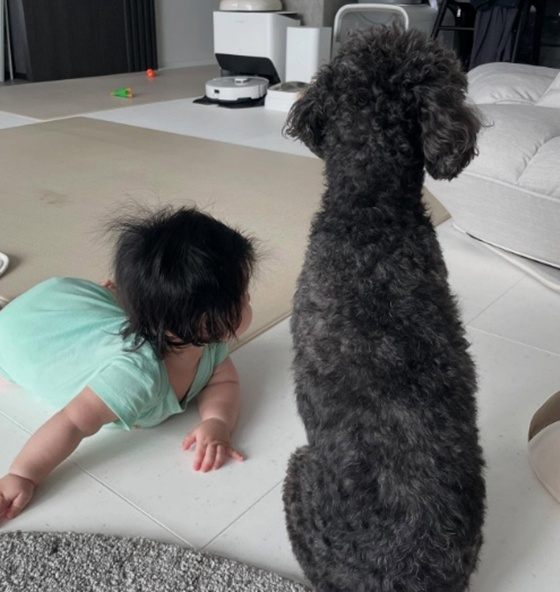 <b>심형탁</b><b>사야</b> 子하루, 해맑은 근황 "함께 아빠 쳐다봄"