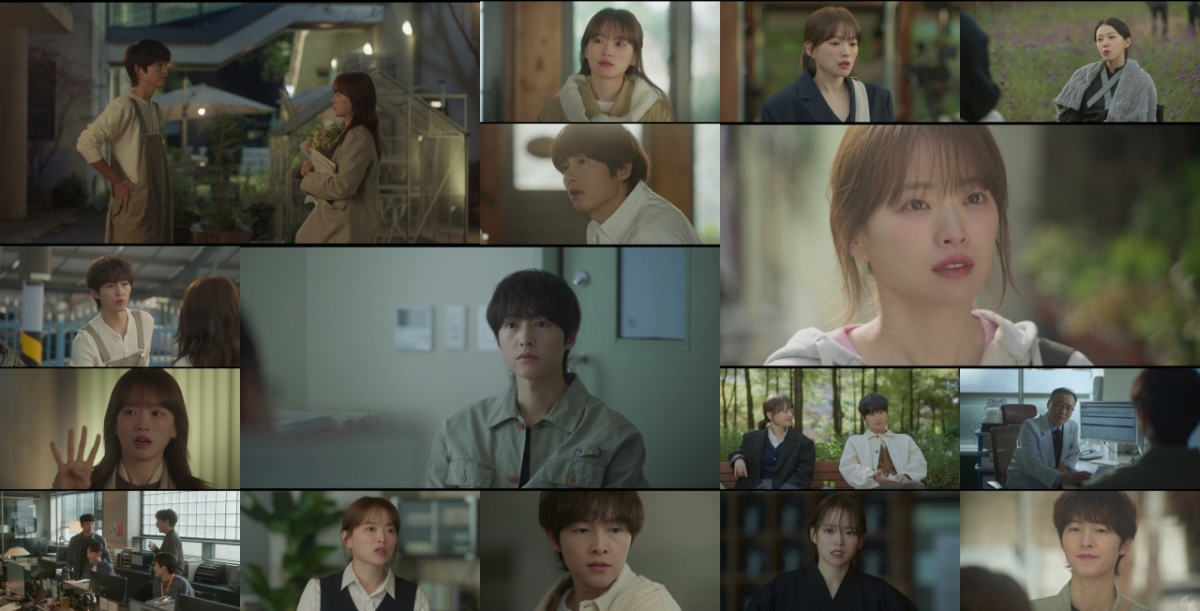 <b>송중기</b>, 천우희 고백 웃었지만..시청률은 2%대[<b>마이 유스</b>][종합]