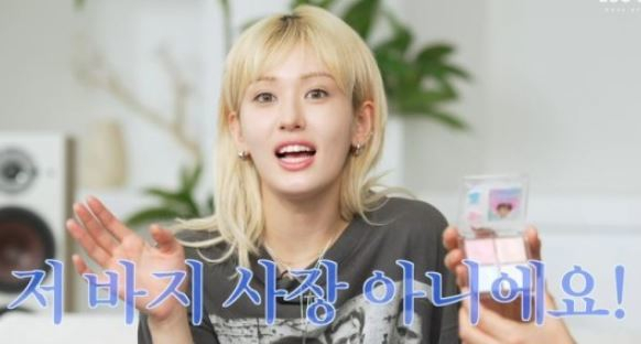 "바지사장 아냐" <b>전소미</b> 화장품 측, 결국 공개 사과 [전문]