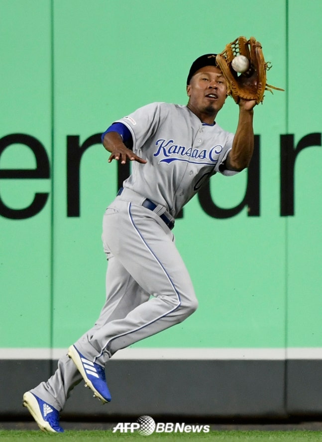 '야구계 충격 비보' LAD 우승 멤버 사망 '향년 34세', 로버츠 감독 추모 '너무 이른 나이에...' MLB 슬픔에 빠지다
