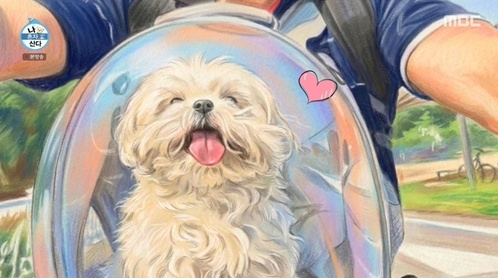 '나혼산', 故 꽃분이 추모..모두를 울렸다