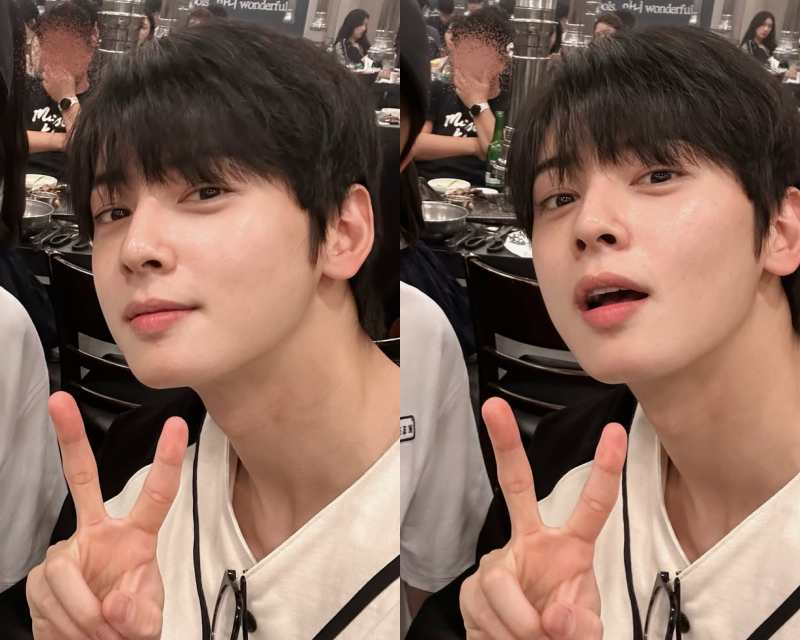 탈세 논란 터질 줄 몰랐던 차은우..쫑파티서 환한 미소 [종합]