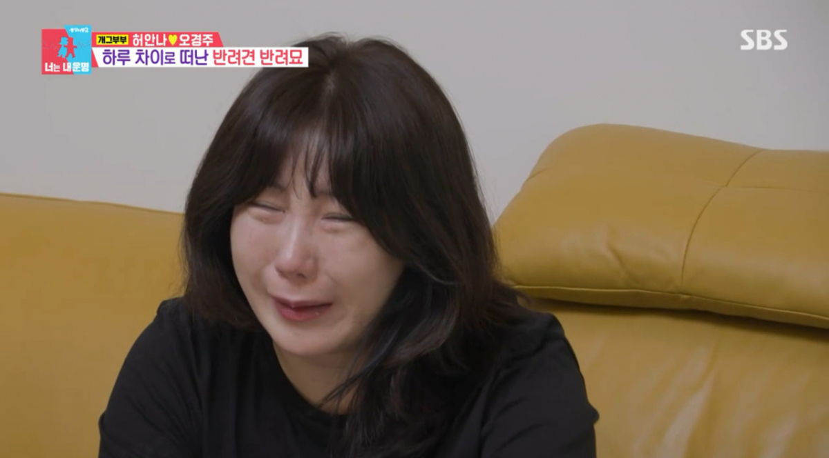 <b>허안나</b>, 하루 차이로 반려견·반려묘 떠나보낸 슬픔.."눈물 안 나는 날 ...