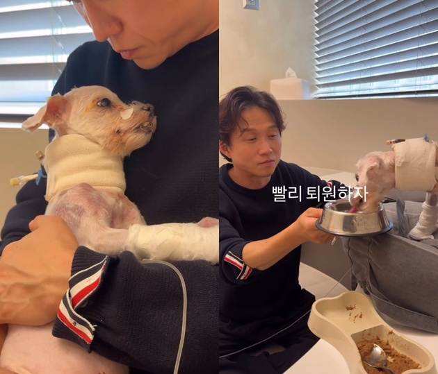 動物病院で包帯を巻いた愛犬クァンボクを抱き、そばで食事を見守るパク・ソングァン