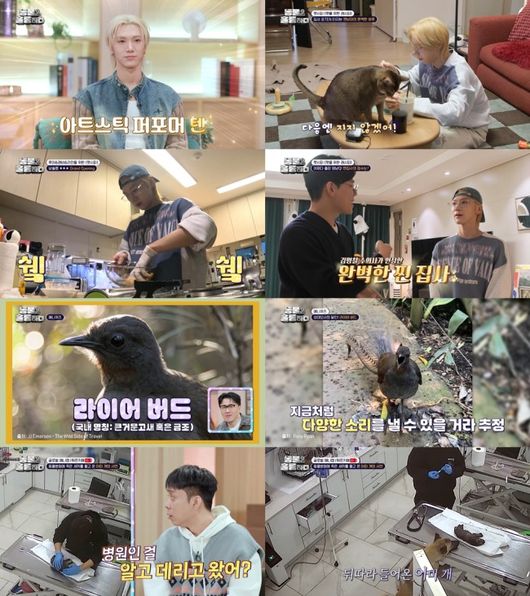 NCT 텐, '동물은 훌륭하다' 게스트 출격..