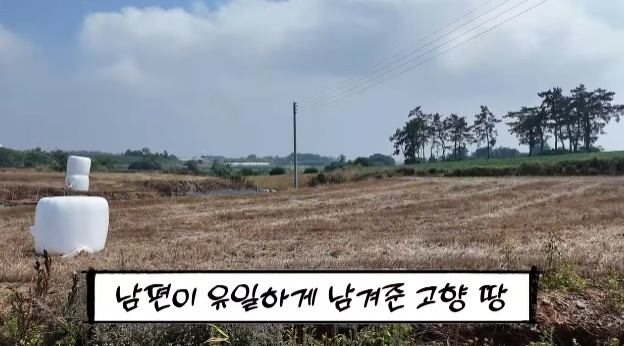 '이태원 건물주' <b>선우용여</b>, 한강뷰家 이어 '<b>900평 땅</b>' 공개 "故남편 <b>유산</b>...