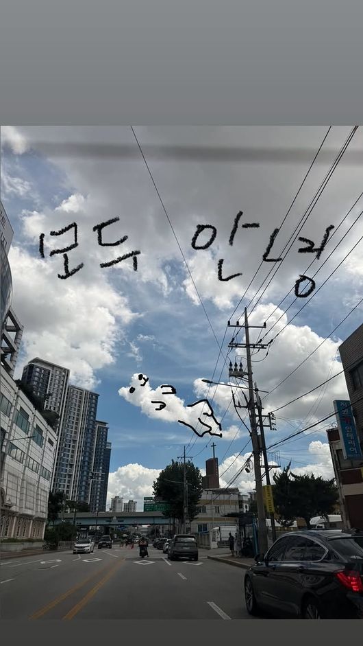 <b>이효리</b>, 직접 전한 눈물의 작별..암 말기 <b>석삼이</b>와 <b>이별</b> "잘 가라"