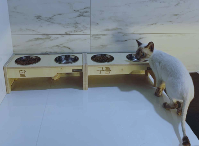 kim sae ron kim soo hyun dating