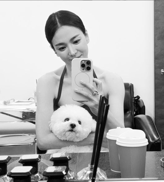 사랑스러운 눈빛으로 반려견과 사진찍은 혜교님