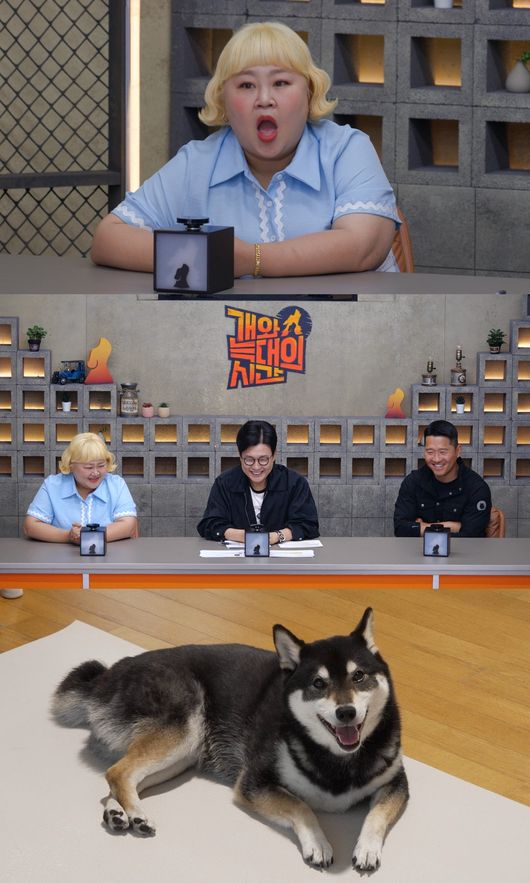 홍윤화, 소고기만 먹고 야채 안 먹는 반려견 “강형욱이 고쳐줬다”(‘...