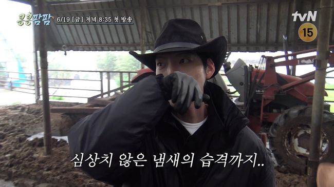 ‘<b>콩콩팜팜</b>’ 밥 친구는 포기해야..도경수, 난데없이 김우빈에 우분 투...