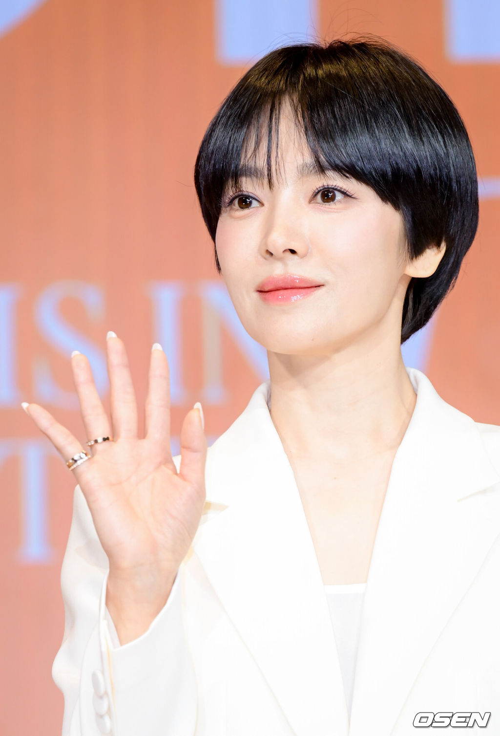 송혜교, 14년만에 UAA 결별.."각자의 미래 응원" [공식]