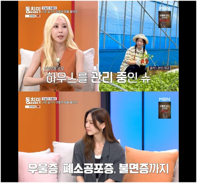 S.E.S 슈, 동안 미모 비결 "직접 농사 지은 <b>병풀</b>"('동치미')[순간포착]