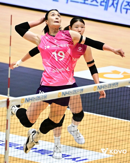 KOVO 제공