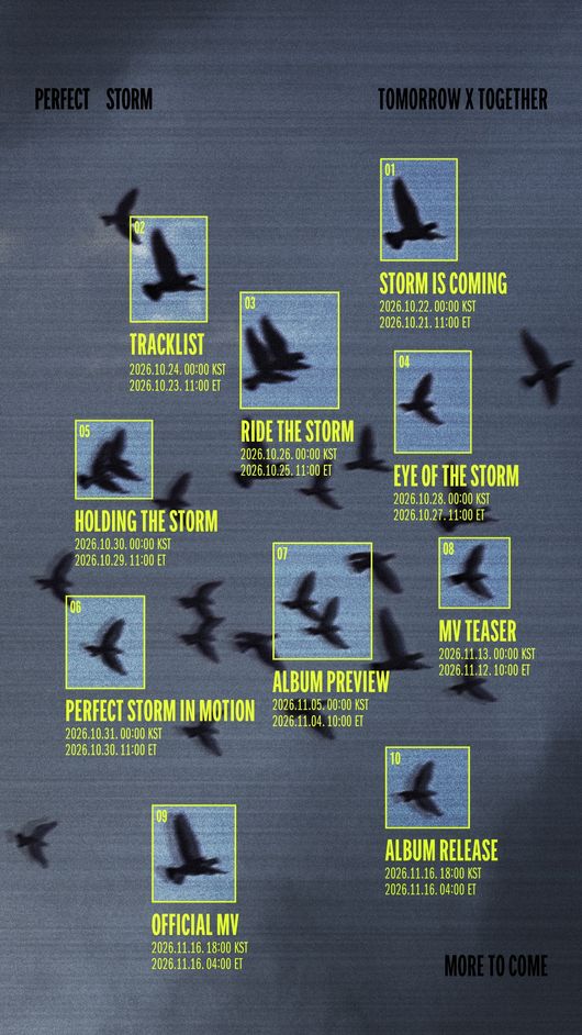 鳥の群れを描いた背景に、TXT「PERFECT STORM」のトラックリストやコンセプト写真などの公開日を記したスケジュール画像