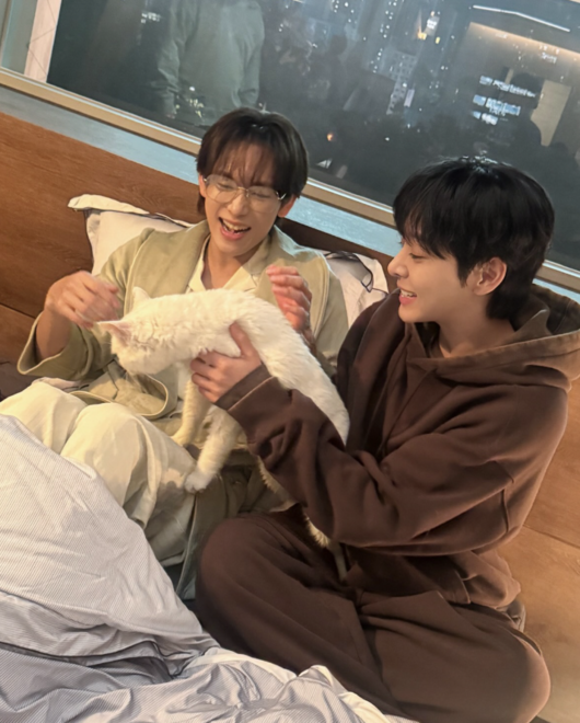 イム・シワンとソル・イナが室内で白い猫を抱き、笑顔で触れ合う