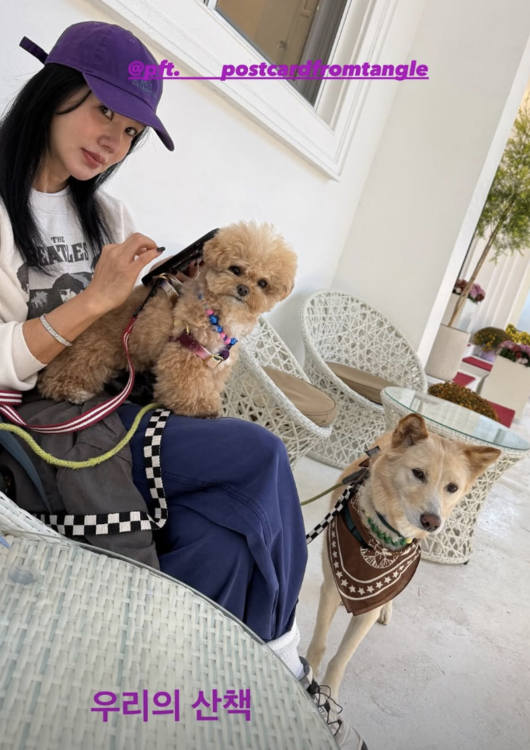 紫色のキャップと白いスウェット姿で、2匹の愛犬とテラスにいるオム・ジョンファ