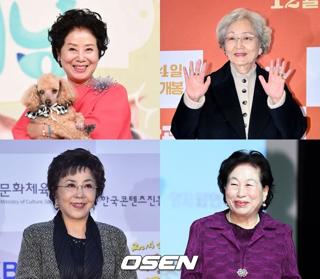 ソヌ・ヨンヨ、キム・ヨンオクらベテラン女優4人の写真を並べたコラージュ