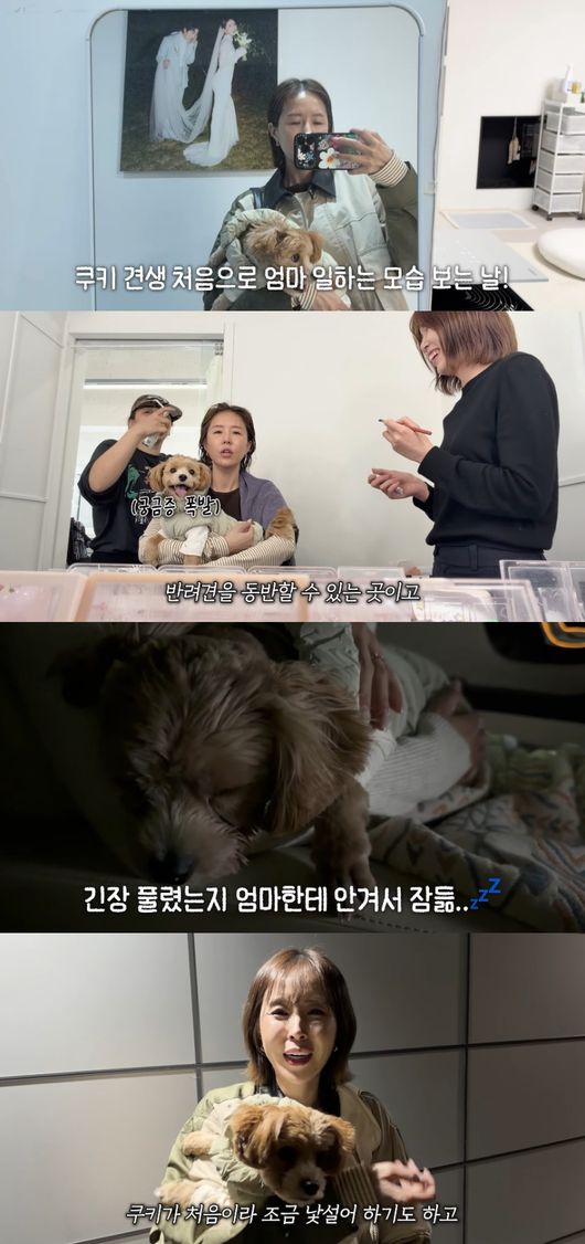 愛犬クッキーと仕事先へ向かうシンジのセルフカメラ映像。