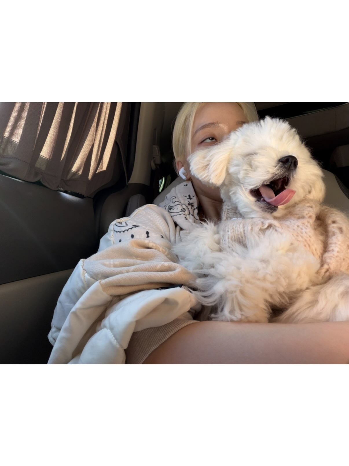 車内で白い犬を抱き、犬の顔の向こうから目をのぞかせるaespaのウィンター