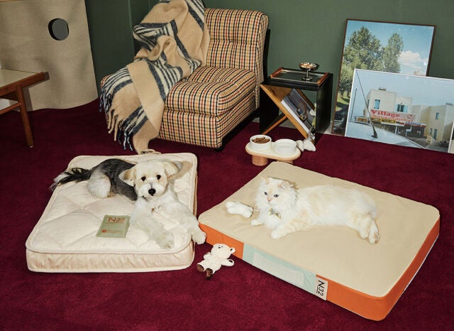 원본보기

N32 비건 펫 매트리스 'N32 쪼꼬미'. /시몬스