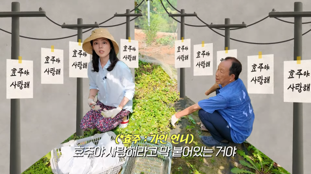 <b>한가인</b>, 친<b>언니</b> 얼마나 예쁘면…"동네 전봇대마다 '효주야 <b>사랑</b>해'" [마...