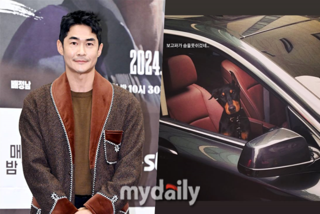 <b>배정남</b>, 세상 떠난 <b>벨</b> 향한 그리움…"보고파 숨을 못 쉬겠네"