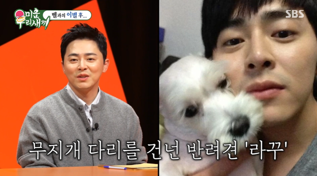 <b>조정석</b>, 반려견 '라꾸' 떠나보냈다…"괜찮을 줄 알았는데" [미우새]