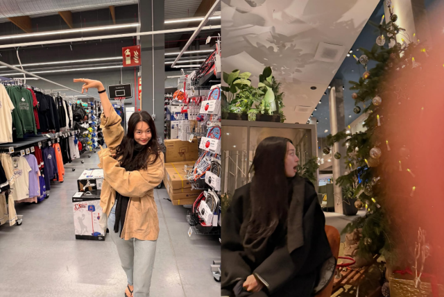 shin mina kim woo bin honeymoon