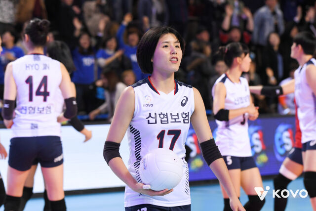 '우리는 다국적팀' 이재영 입단 투란 VC, 총 5개 국적 선수 2026-27시즌 함...