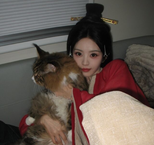 中国時代劇の赤い衣装を着て猫を抱く田曦薇