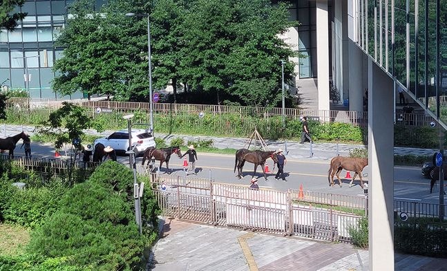 <b>경마</b>장 아닌 정부청사에 등장한 경주마, 왜?