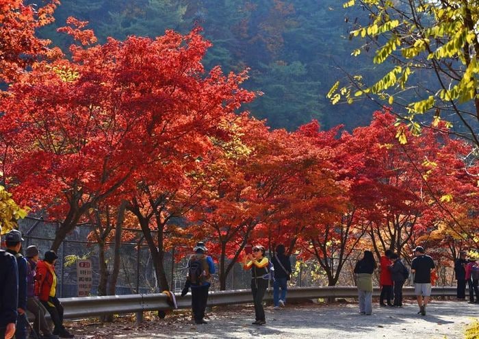 안양 <b>서울대 관악수목원</b> 29일간 시범 <b>개방</b>