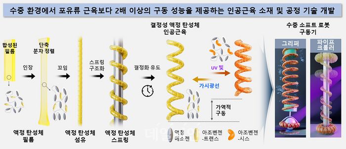 결정성 액정 탄성체 스프링 인공근육 연구 개괄도.ⓒ한국화학연구원