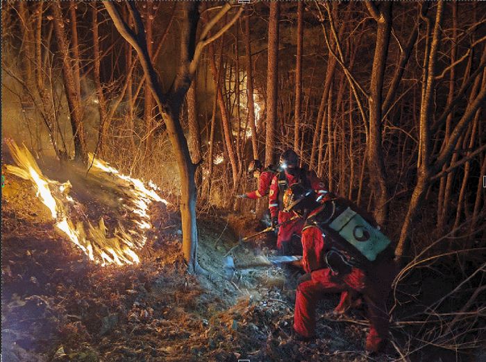공중진화대가 야간 산불 방화선 구축하는 모습(자료사진).ⓒ산림청/뉴시스
