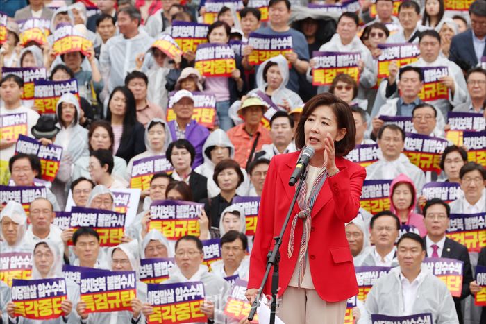 나경원, 간사 받자 '법사위 들썩'…국민의힘에 부는 '중진 역할론' [정국 기상대]