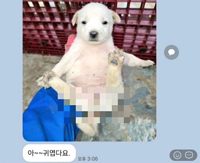 ⓒ국제뉴스