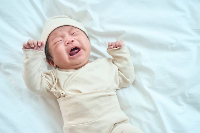 ⓒ게티이미지뱅크