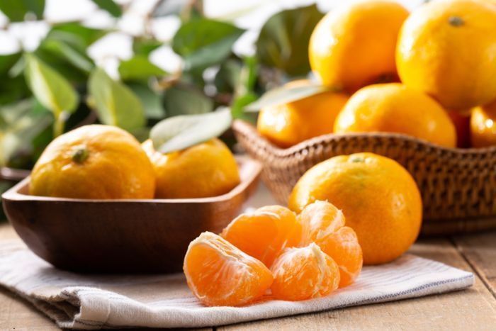 ⓒ게티이미지뱅크